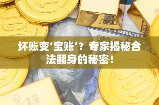 北京坏账变‘宝账’？专家揭秘合法翻身的秘密！
