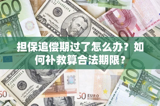 北京担保追偿期过了怎么办？如何补救算合法期限？