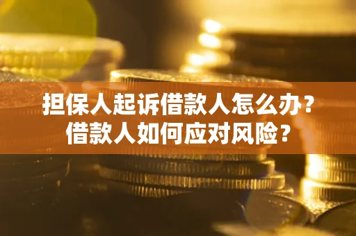 北京担保人起诉借款人怎么办？借款人如何应对风险？