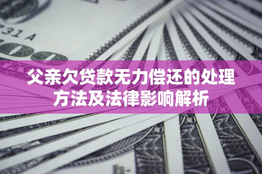 北京父亲欠贷款无力偿还的处理方法及法律影响解析
