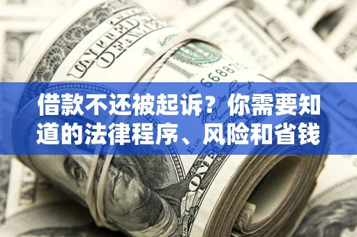 北京借款不还被起诉？你需要知道的法律程序、风险和省钱技巧